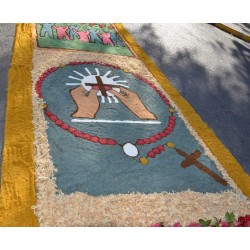 Fieis se reúnem para a celebração de Corpus Christi em Campo Largo